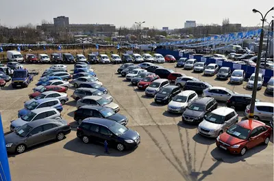 Skup aut, skup busów 'Pan Samochodzik'